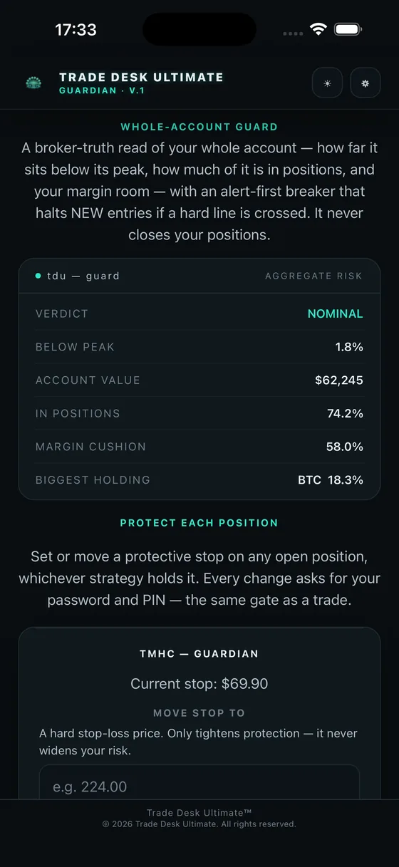 Whole-account guard showing drawdown, exposure and margin room